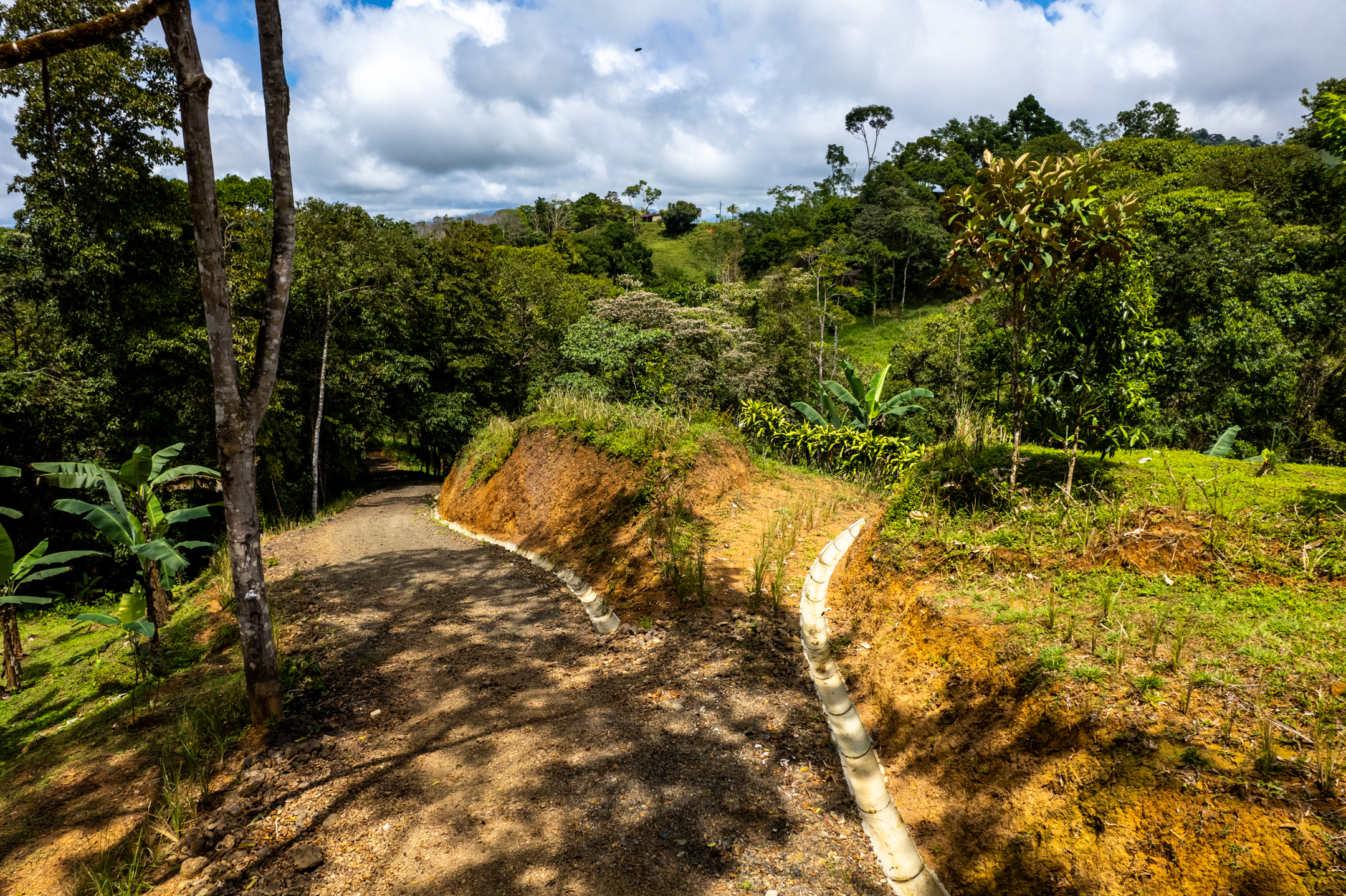 0 bed Land For Sale in Dominical, Puntarenas - thumb 23