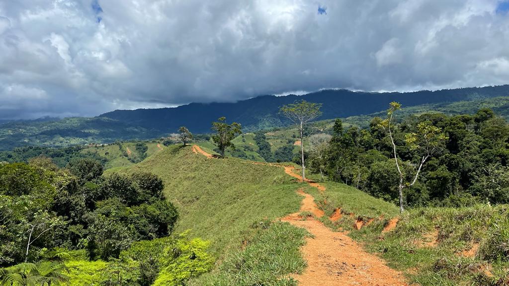 0 bed Land For Sale in Dominical, Puntarenas - thumb 7