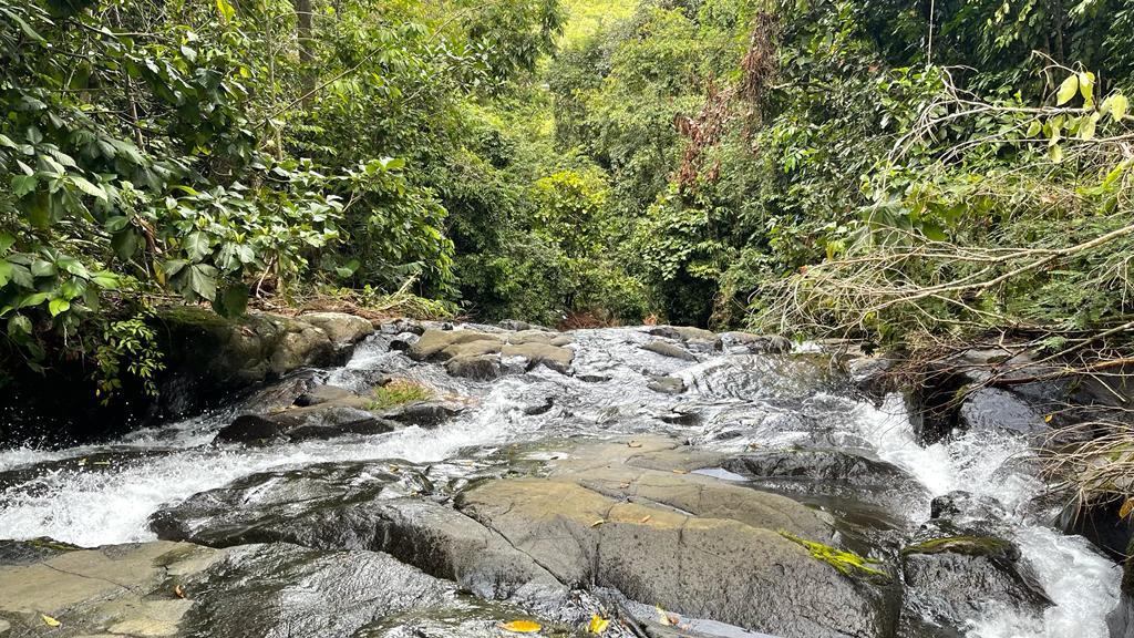 0 bed Land For Sale in Dominical, Puntarenas - thumb 15