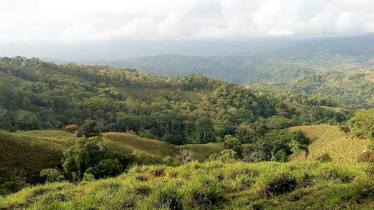 0 bed Land For Sale in Dominical, Puntarenas - thumb 8