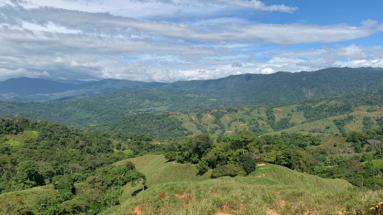 0 bed Land For Sale in Dominical, Puntarenas - thumb 10