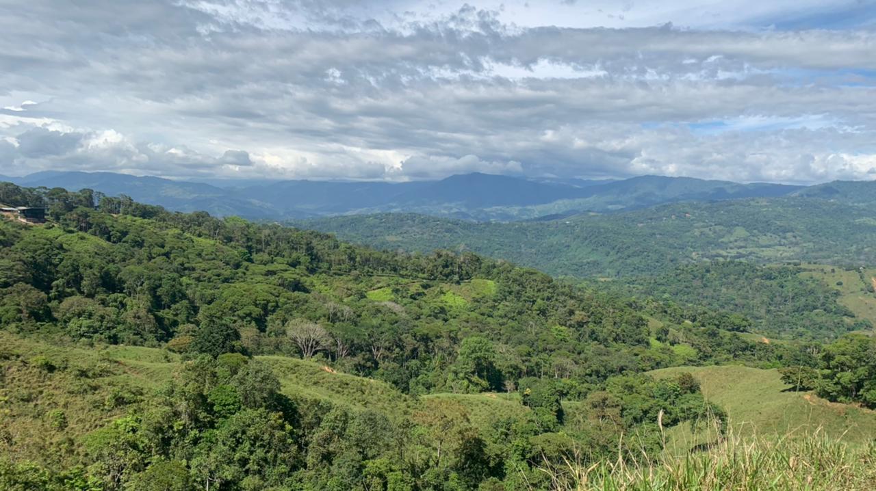 0 bed Land For Sale in Dominical, Puntarenas - thumb 3