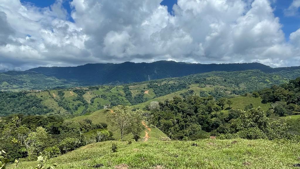 0 bed Land For Sale in Dominical, Puntarenas - thumb 16