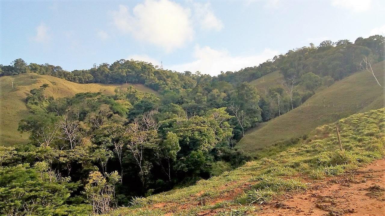 0 bed Land For Sale in Dominical, Puntarenas - thumb 14