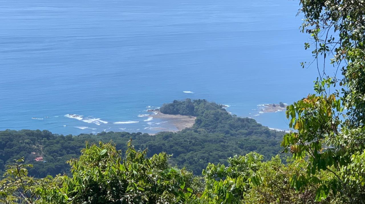 0 bed Land For Sale in Dominical, Puntarenas - thumb 2
