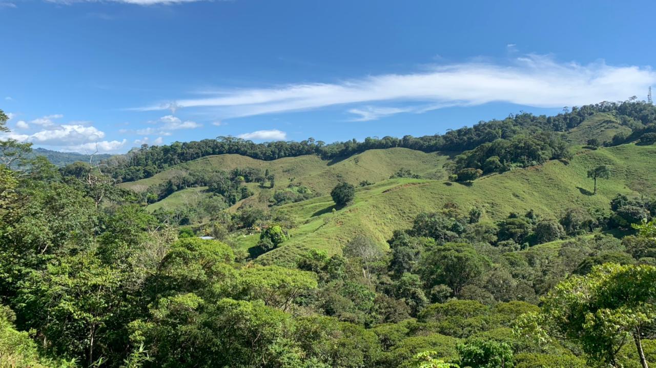 0 bed Land For Sale in Dominical, Puntarenas - thumb 5