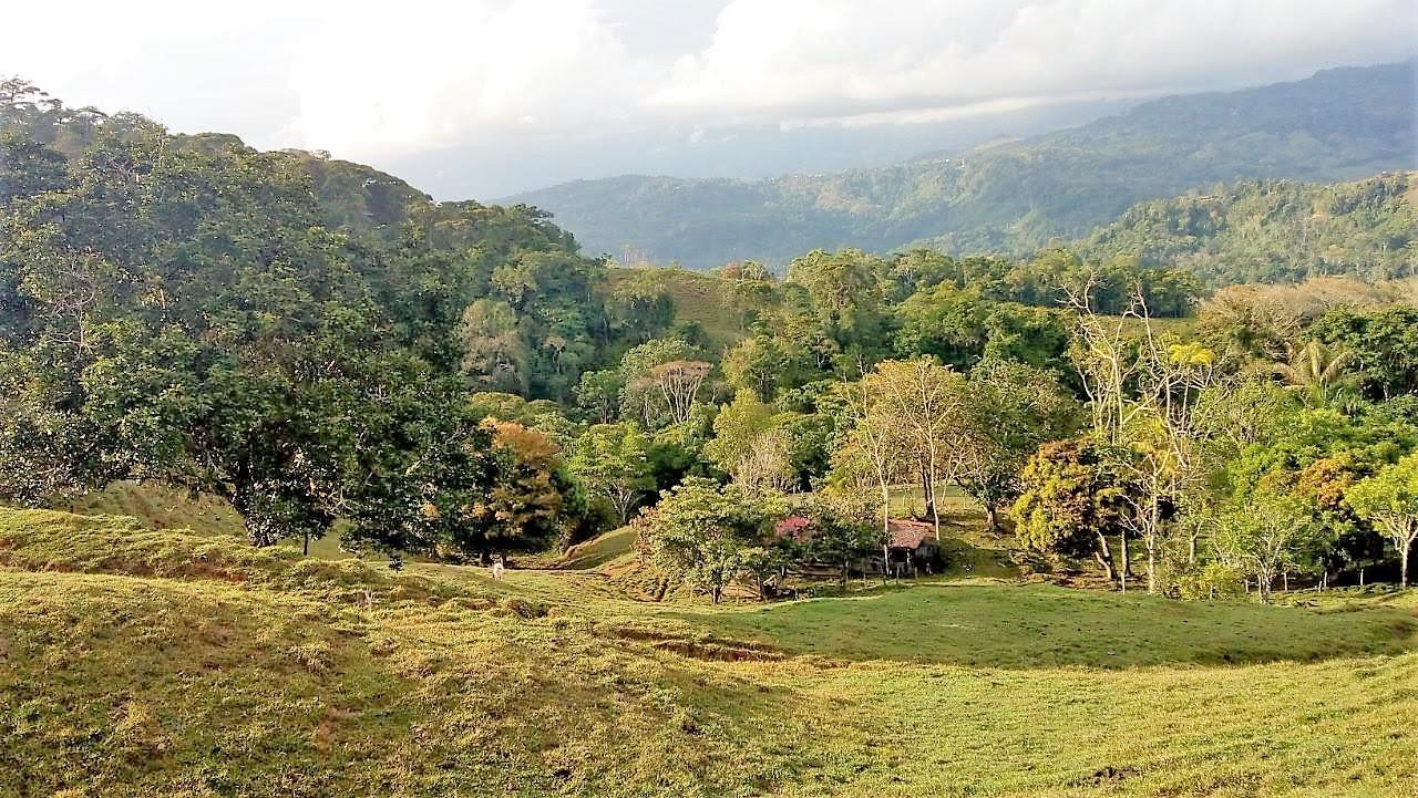 0 bed Land For Sale in Dominical, Puntarenas - thumb 12