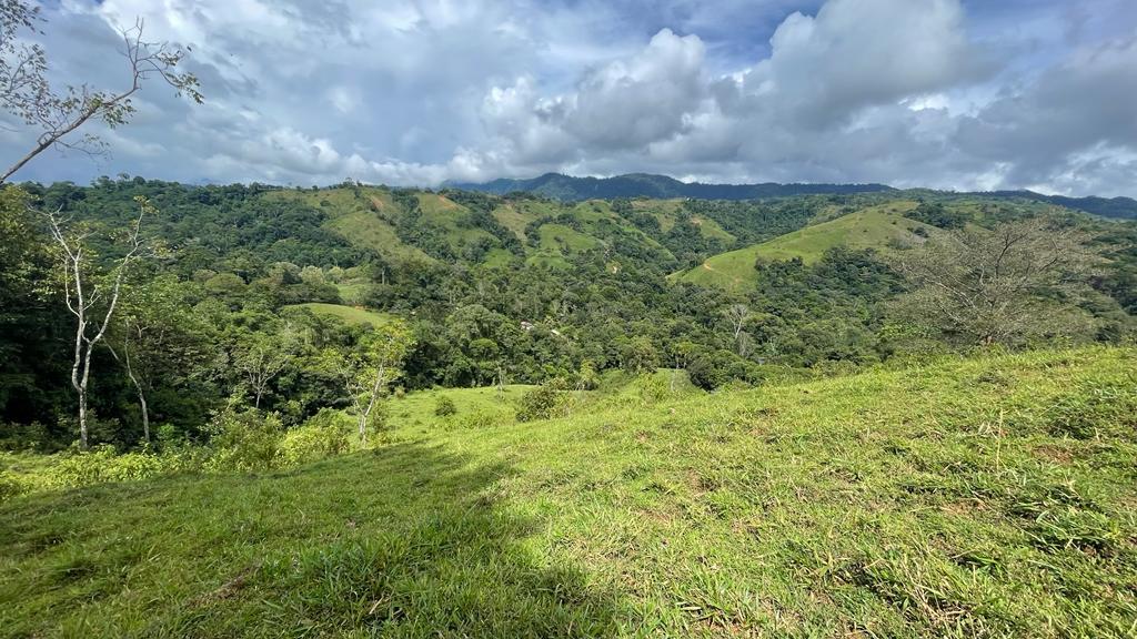 0 bed Land For Sale in Dominical, Puntarenas - thumb 4