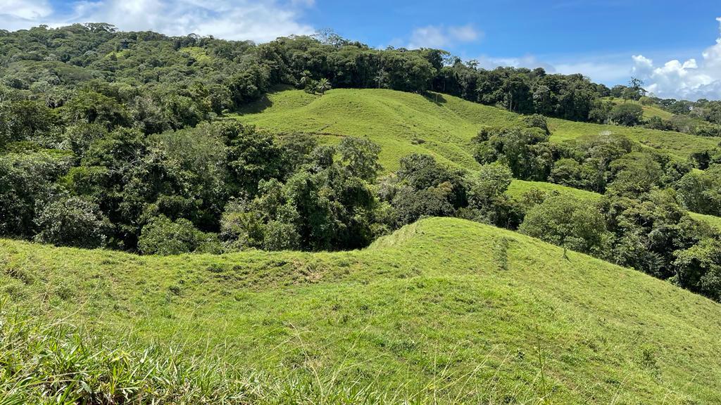 0 bed Land For Sale in Dominical, Puntarenas - thumb 9