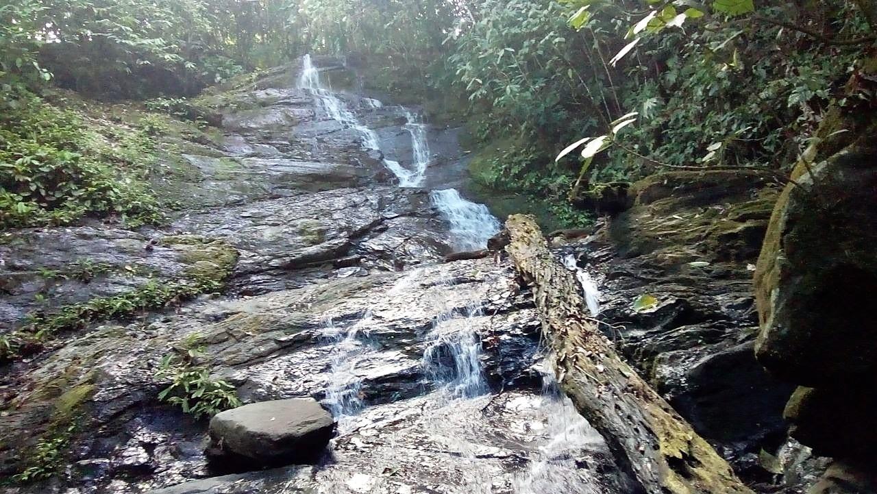 0 bed Land For Sale in Dominical, Puntarenas - thumb 6