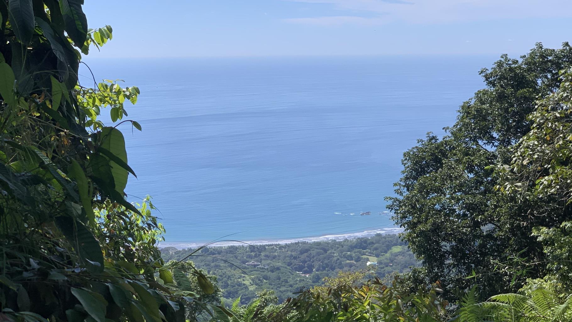 0 bed Land For Sale in Dominical, Puntarenas - thumb 1