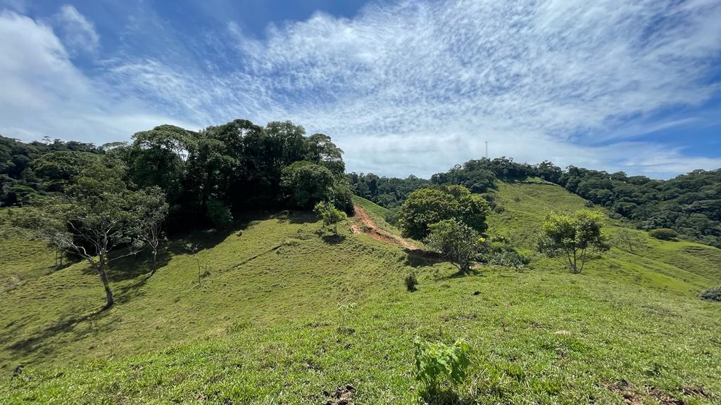 0 bed Land For Sale in Dominical, Puntarenas - thumb 11