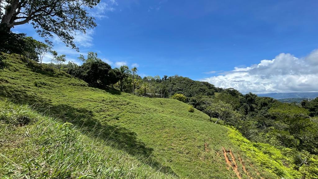 0 bed Land For Sale in Dominical, Puntarenas - thumb 17