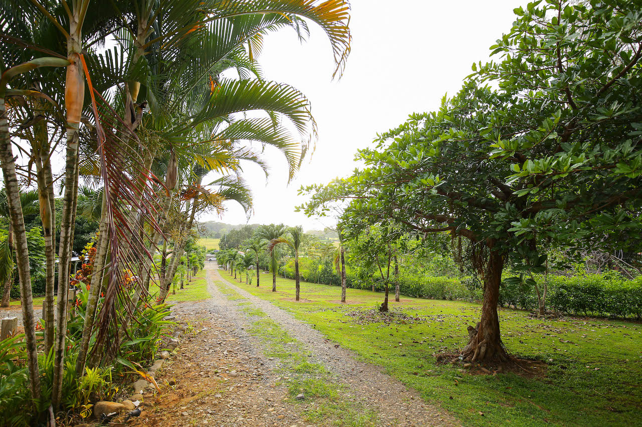 2 bed Commercial For Sale in Dominical, Puntarenas - thumb 22