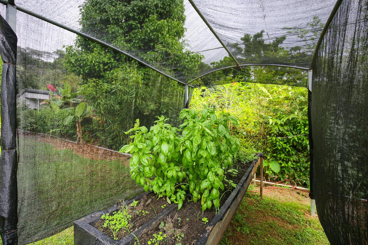 2 bed Commercial For Sale in Dominical, Puntarenas - thumb 20