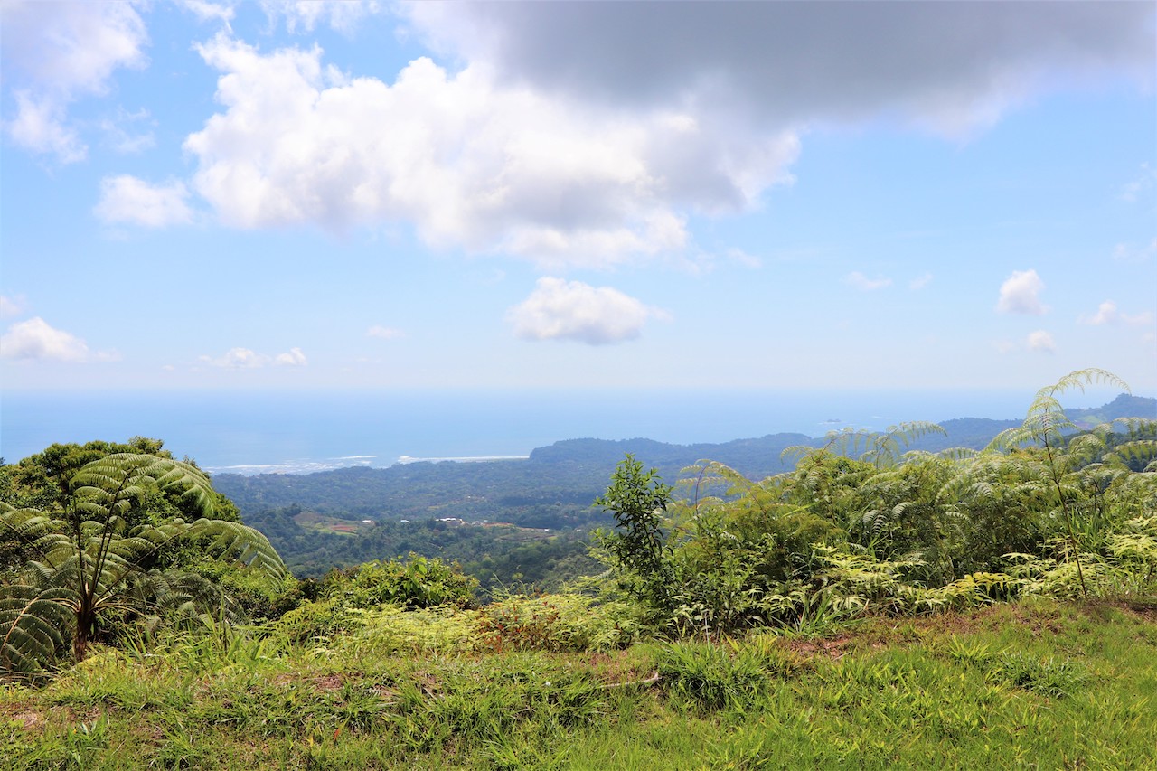 0 bed Land For Sale in Ojochal, Puntarenas - thumb 1