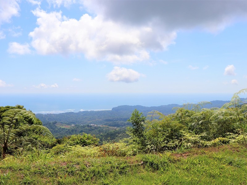 0 bed Land For Sale in Ojochal, Puntarenas - thumb 1