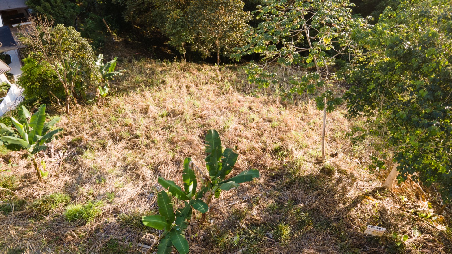 0 bed Land For Sale in Ojochal, Puntarenas - thumb 4