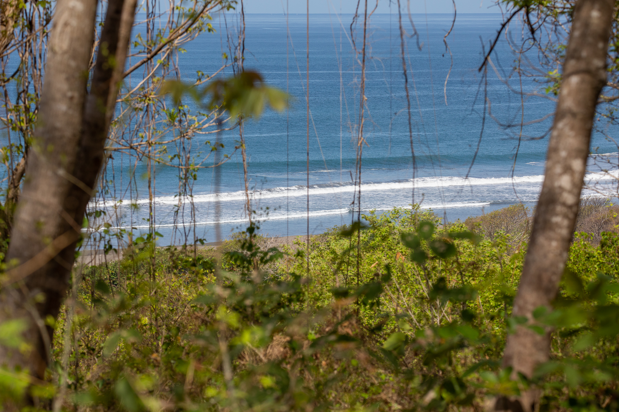 0 bed Land For Sale in Ostional, Guanacaste - thumb 2