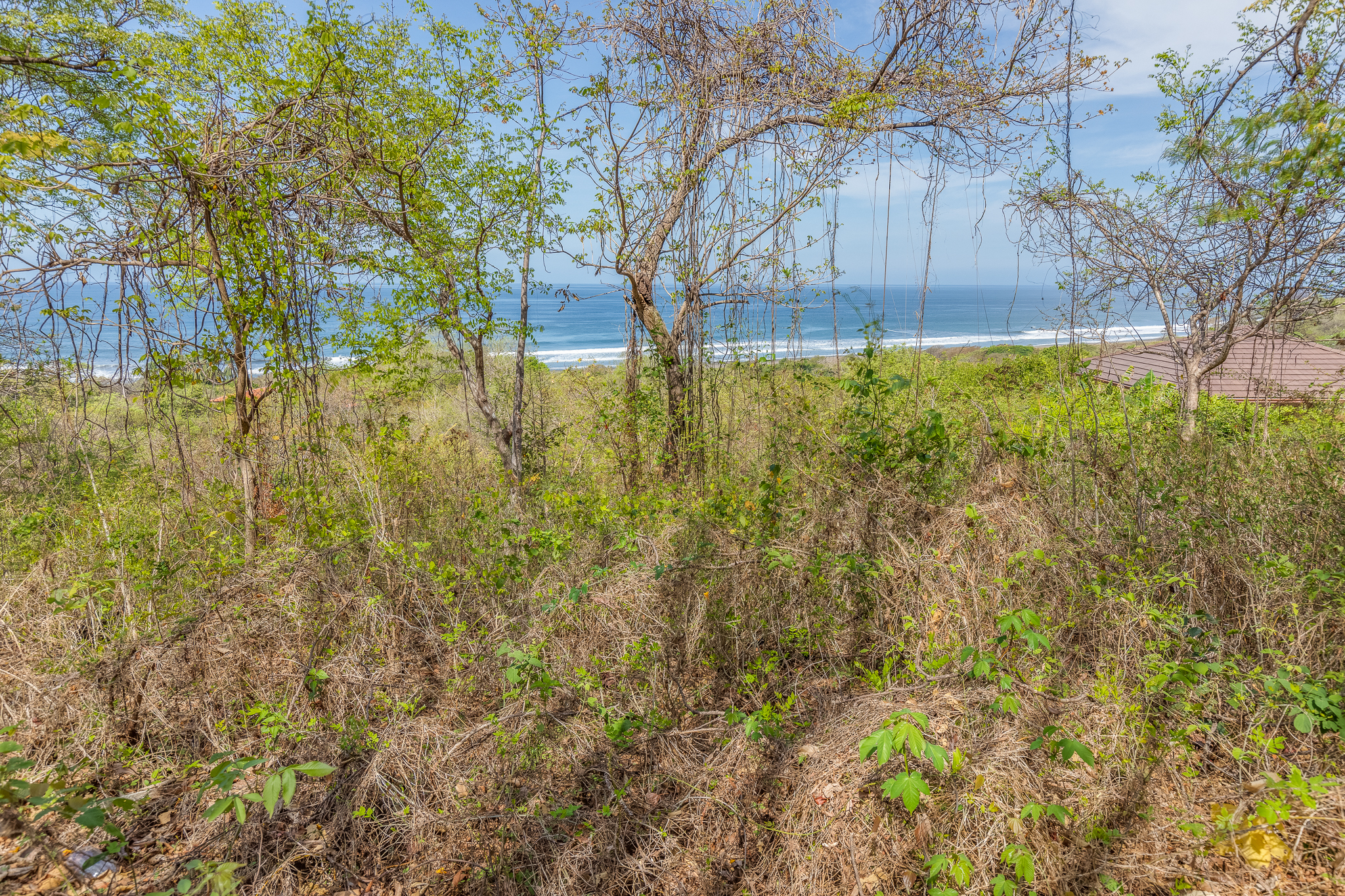 0 bed Land For Sale in Ostional, Guanacaste - thumb 7