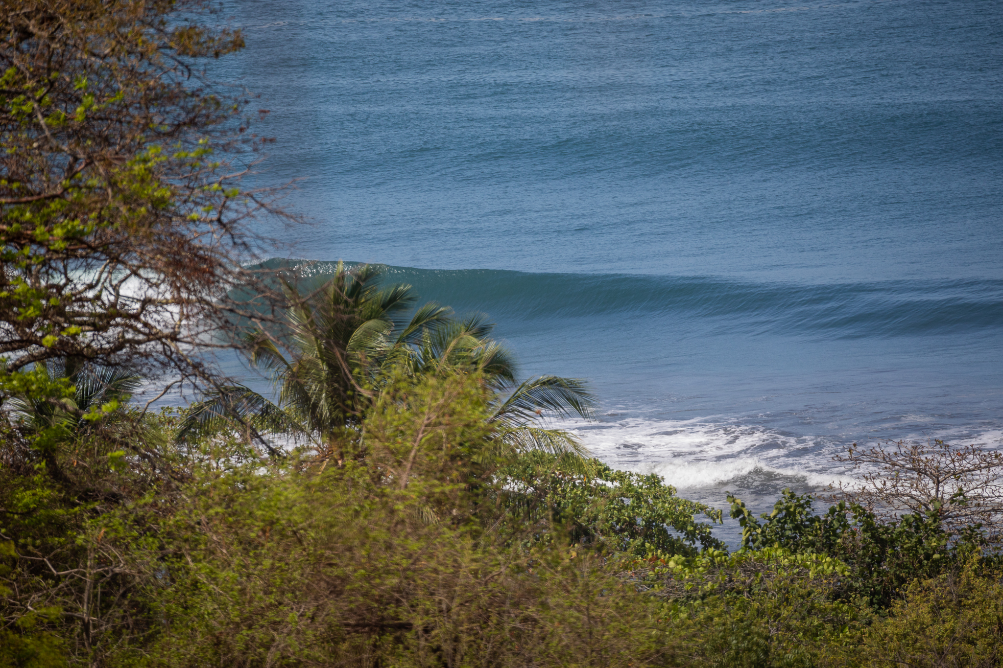 0 bed Land For Sale in Ostional, Guanacaste - thumb 3