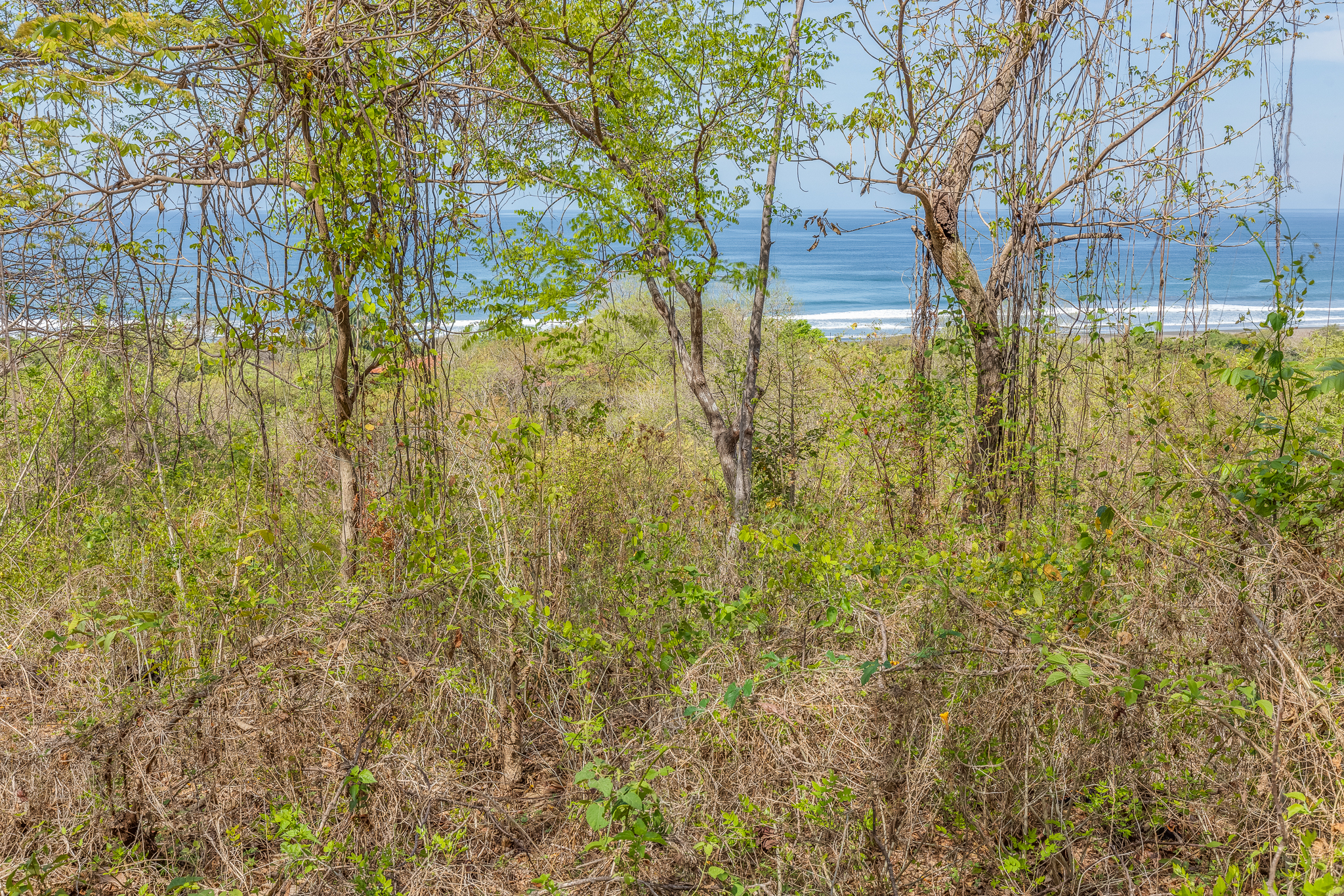 0 bed Land For Sale in Ostional, Guanacaste - thumb 8