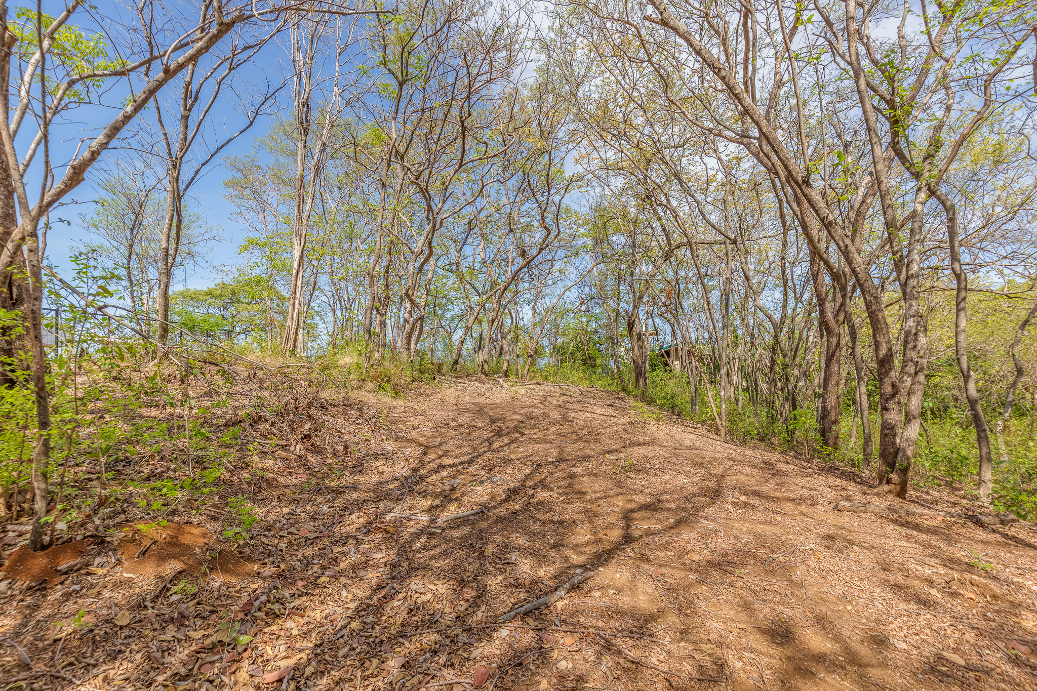 0 bed Land For Sale in Ostional, Guanacaste - thumb 5