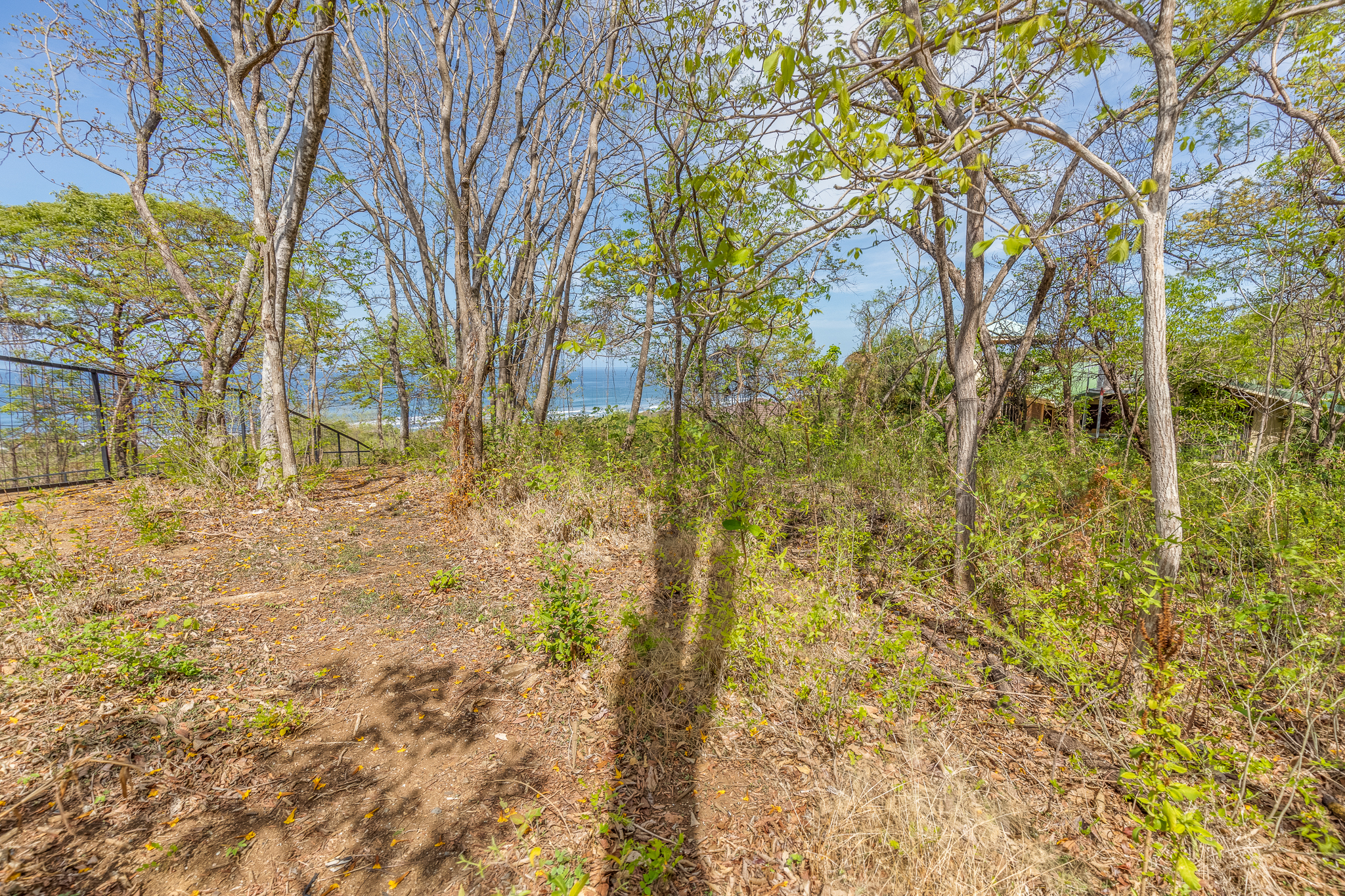 0 bed Land For Sale in Ostional, Guanacaste - thumb 6