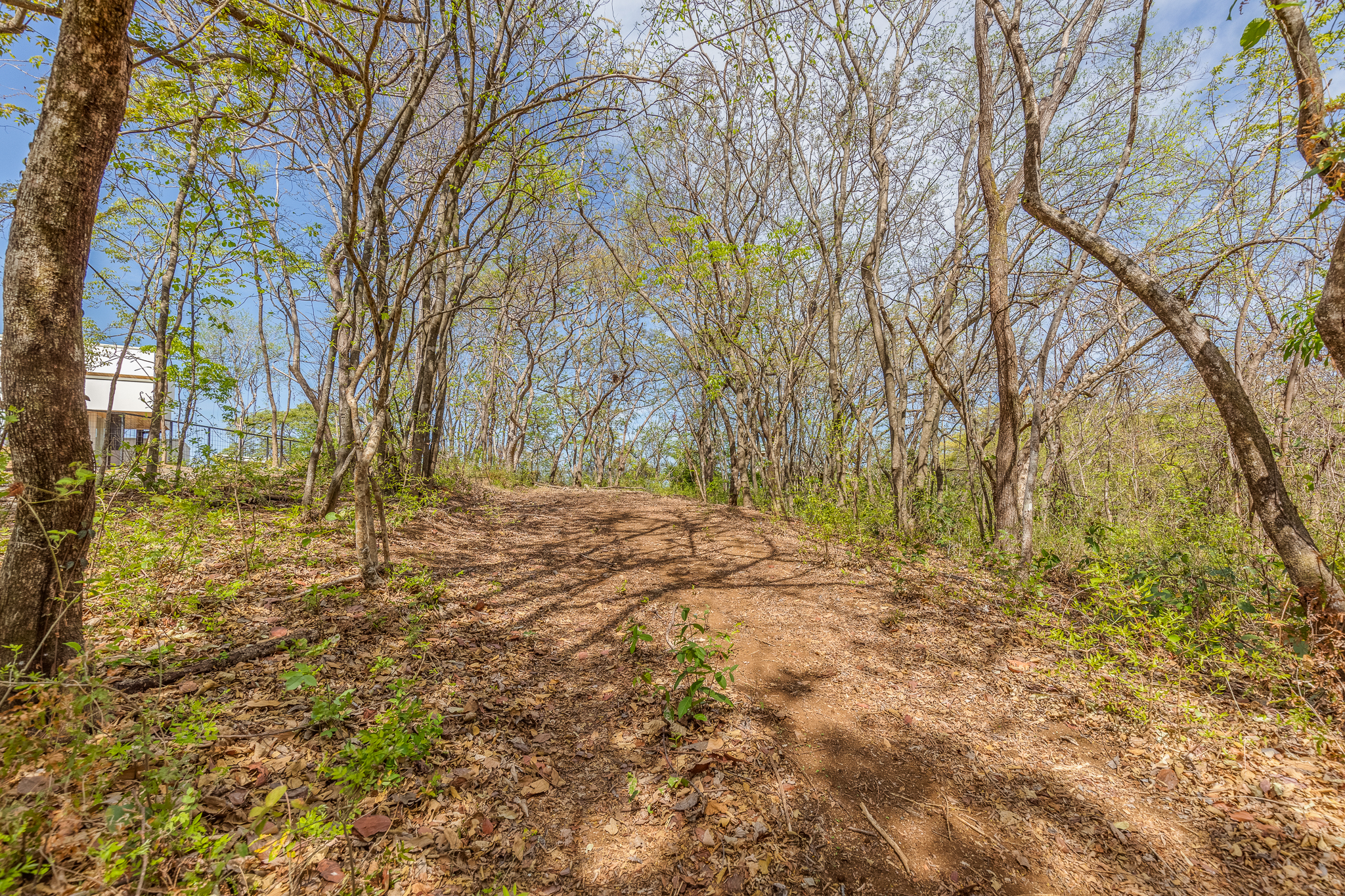 0 bed Land For Sale in Ostional, Guanacaste - thumb 4
