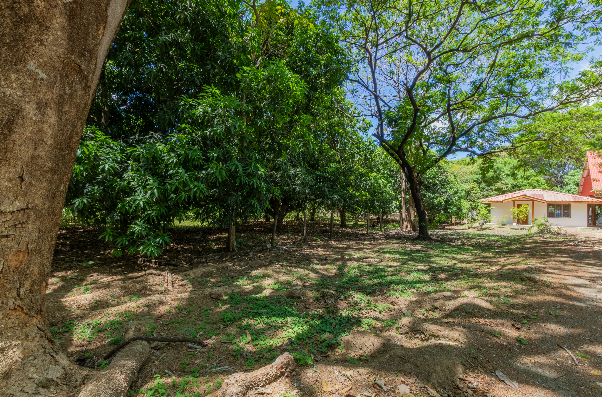2 bed Single Family Homes For Sale in Nosara, Guanacaste - thumb 16
