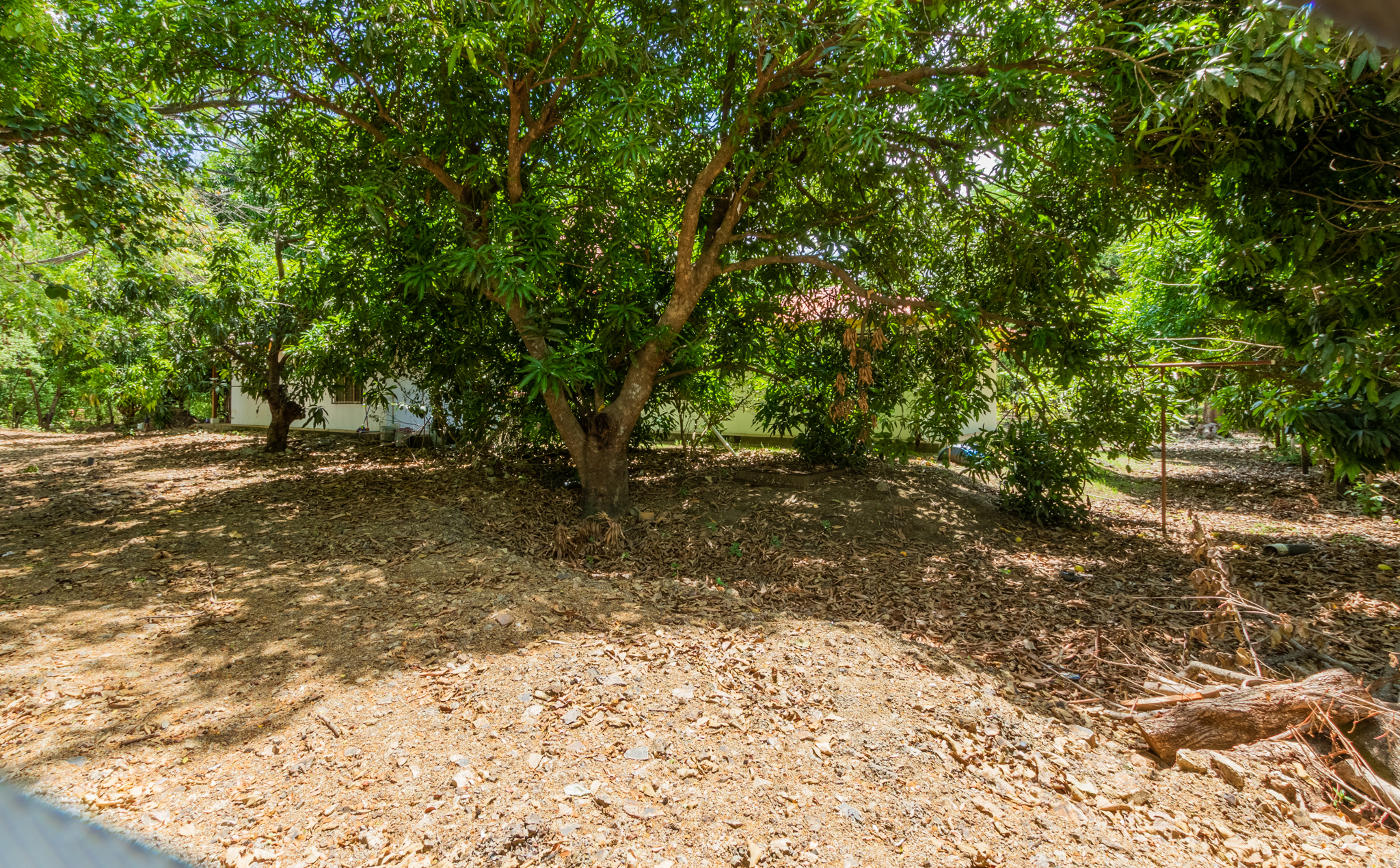 2 bed Single Family Homes For Sale in Nosara, Guanacaste - thumb 17