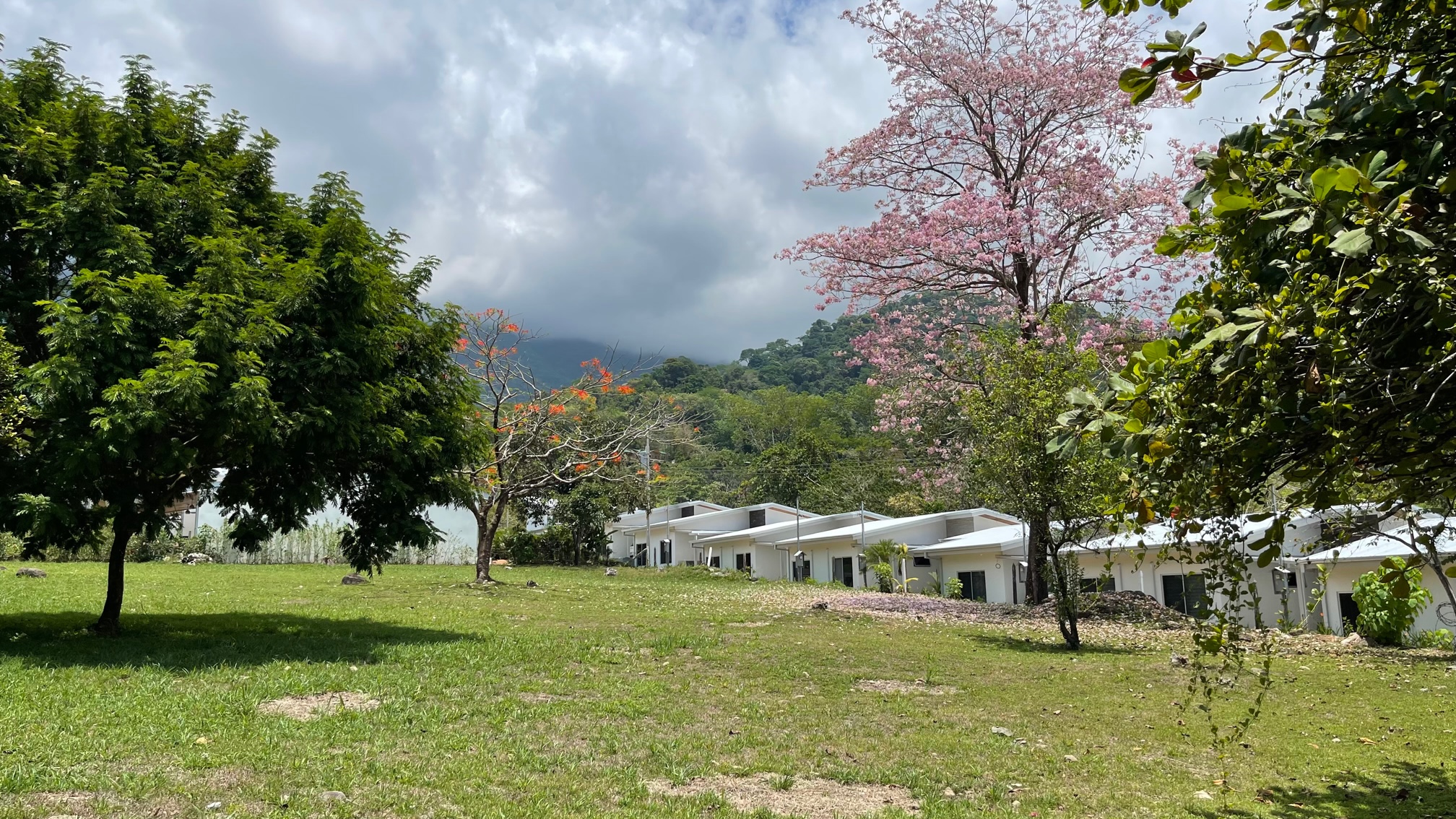 0 bed Land For Sale in Ojochal, Puntarenas - thumb 7