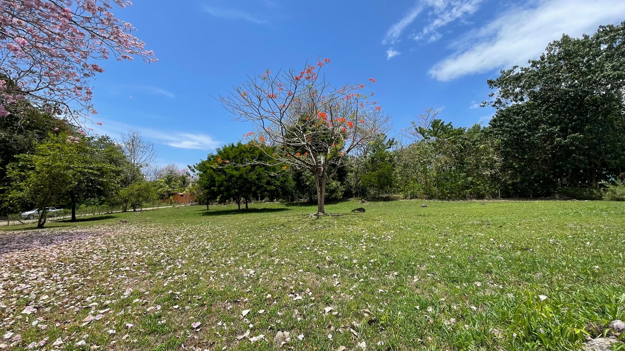 0 bed Land For Sale in Ojochal, Puntarenas - thumb 2