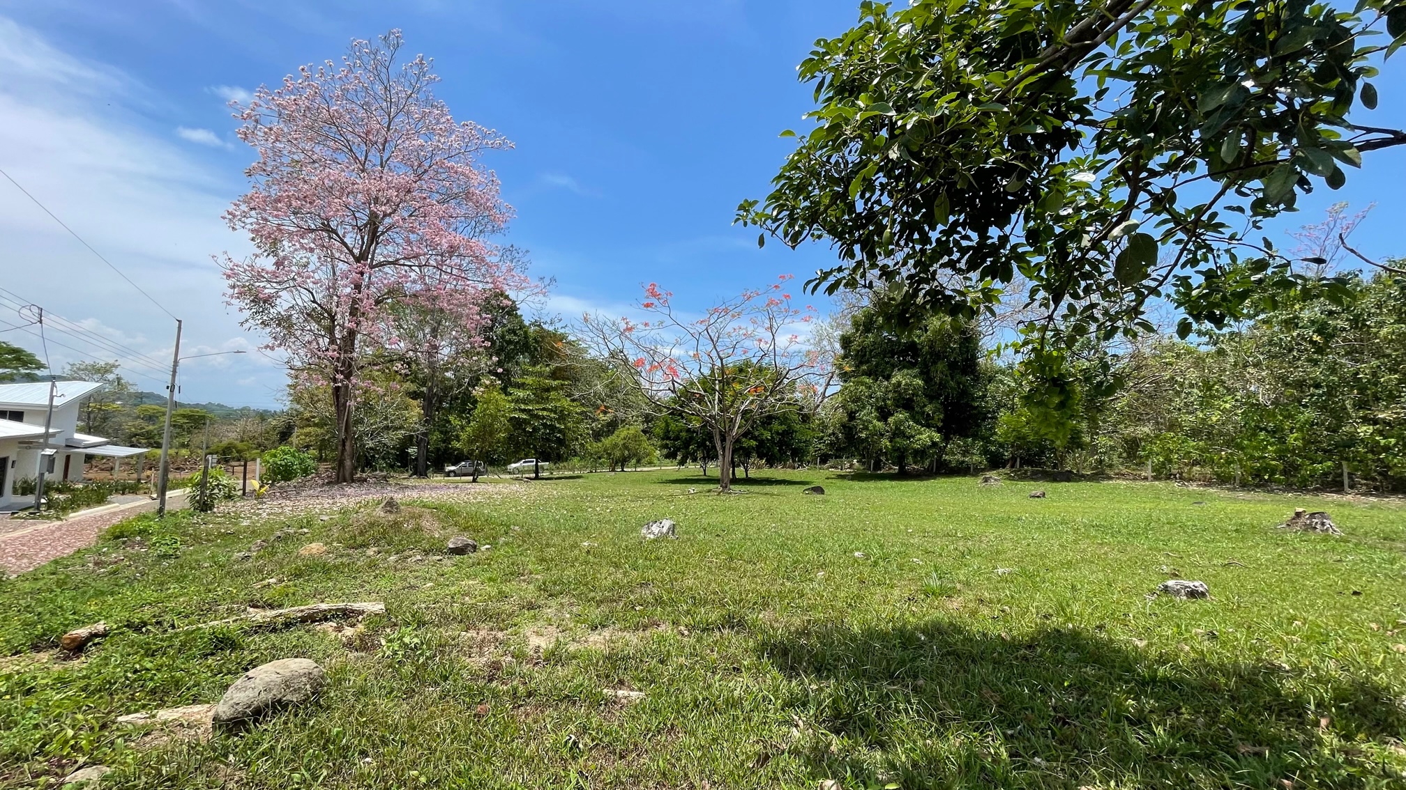 0 bed Land For Sale in Ojochal, Puntarenas - thumb 4