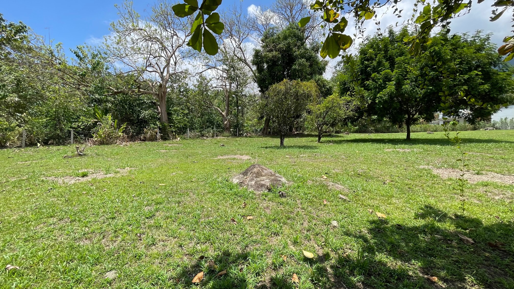 0 bed Land For Sale in Ojochal, Puntarenas - thumb 8