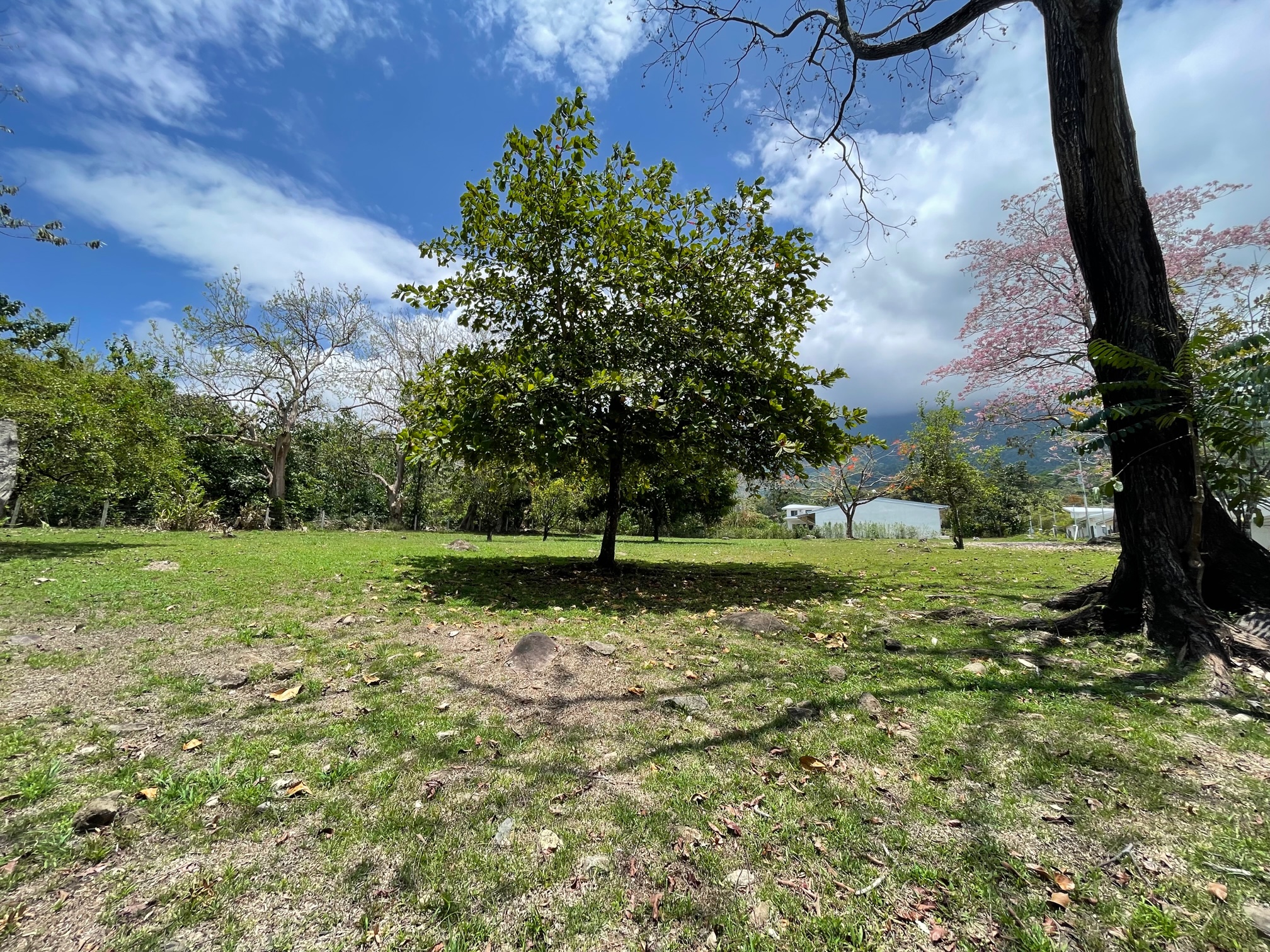 0 bed Land For Sale in Ojochal, Puntarenas - thumb 1