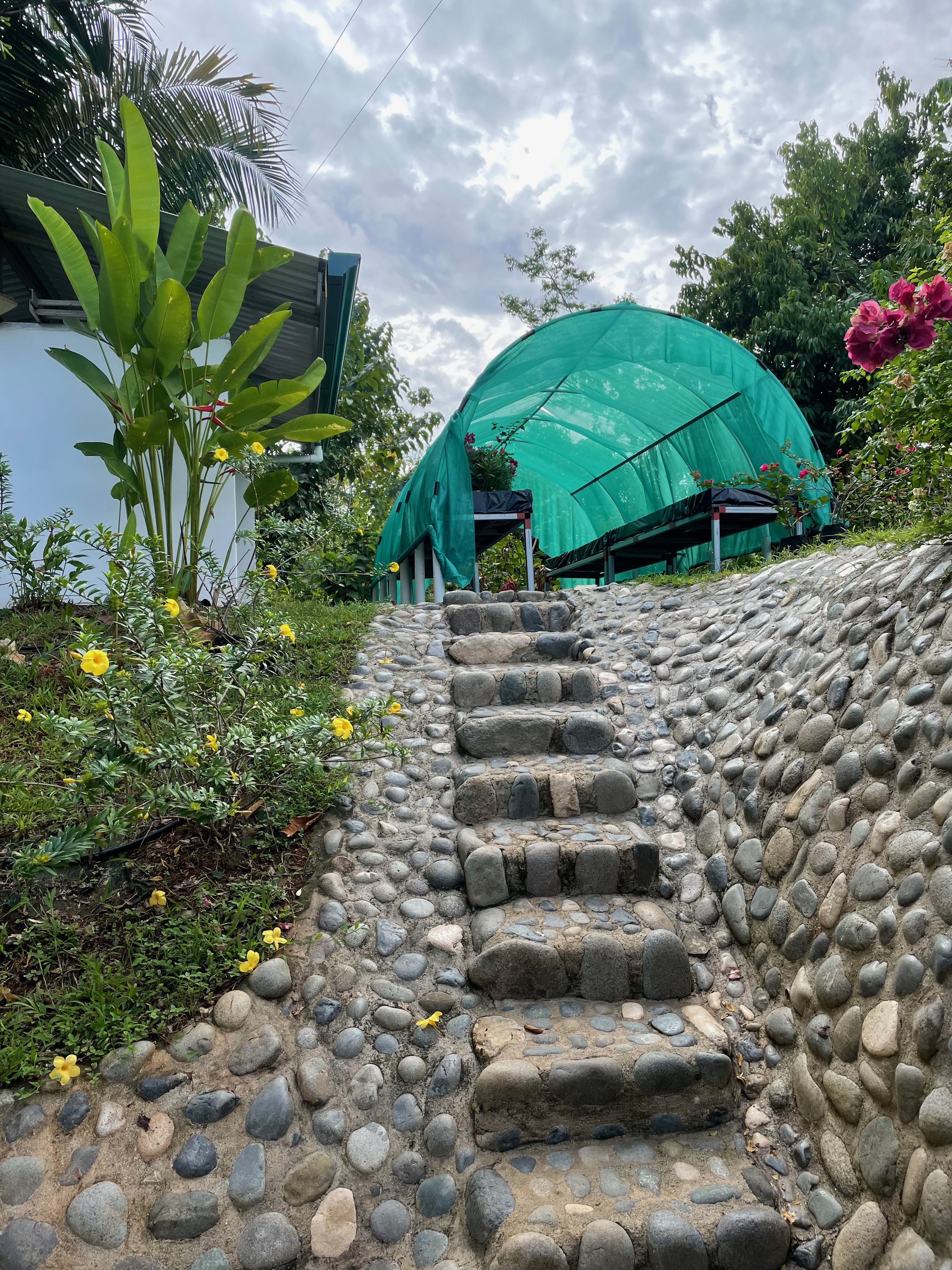 3 bed Single Family Homes For Sale in Ojochal, Puntarenas - thumb 24