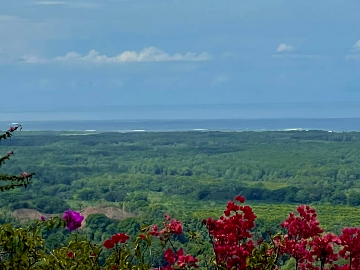 3 bed Single Family Homes For Sale in Ojochal, Puntarenas - thumb 27