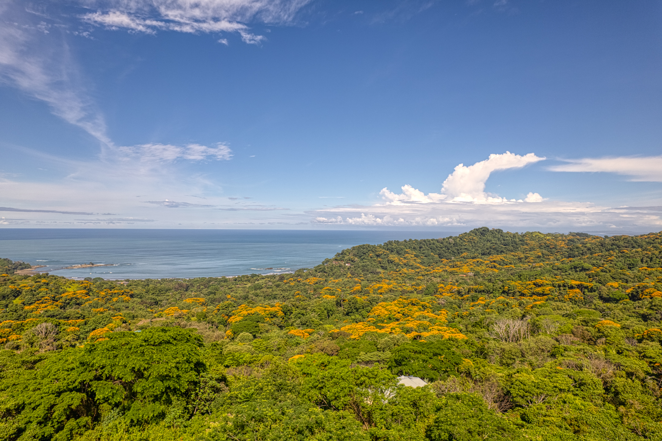 Featured property image