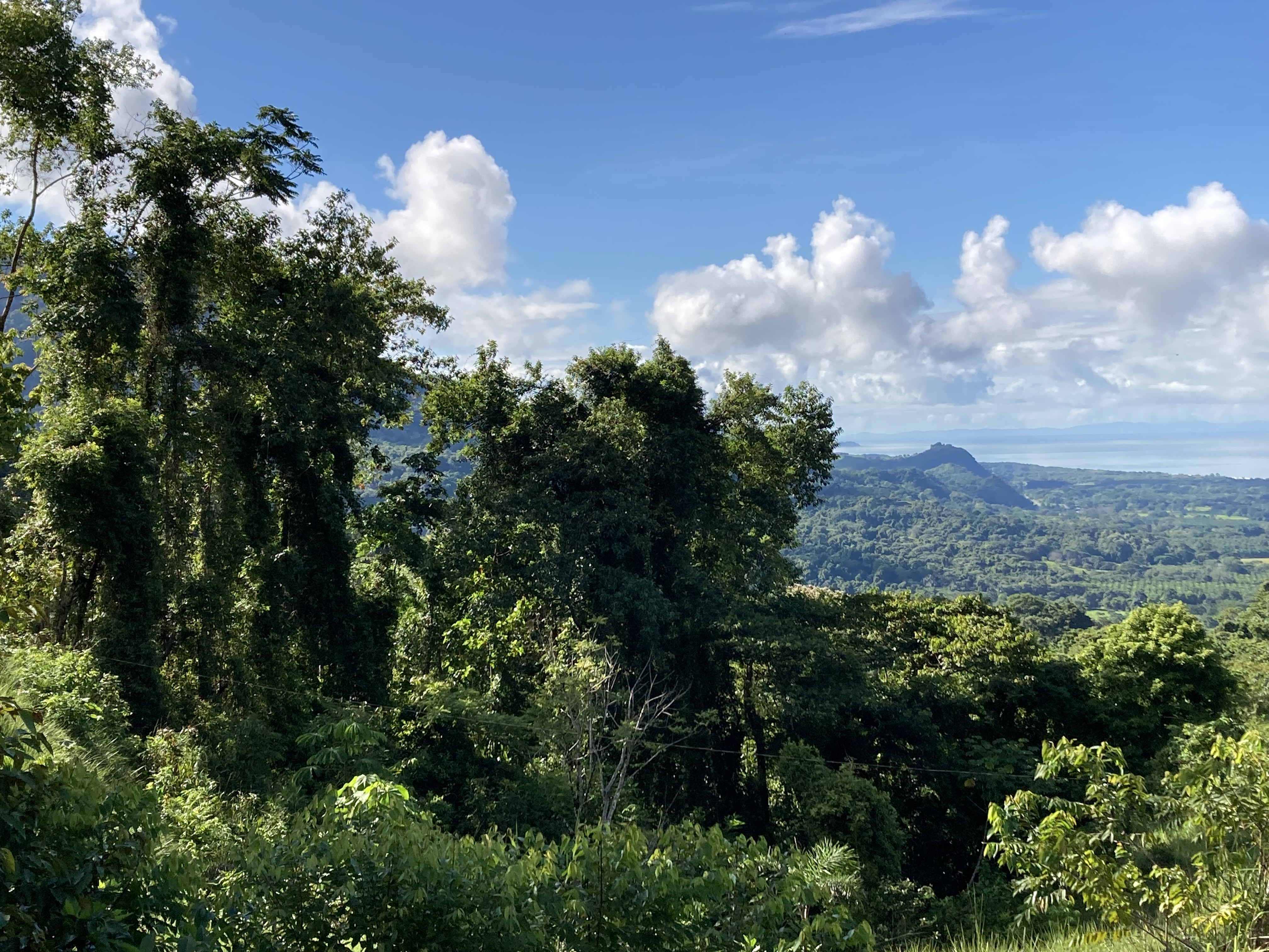 0 bed Land For Sale in Dominical, Puntarenas - thumb 15