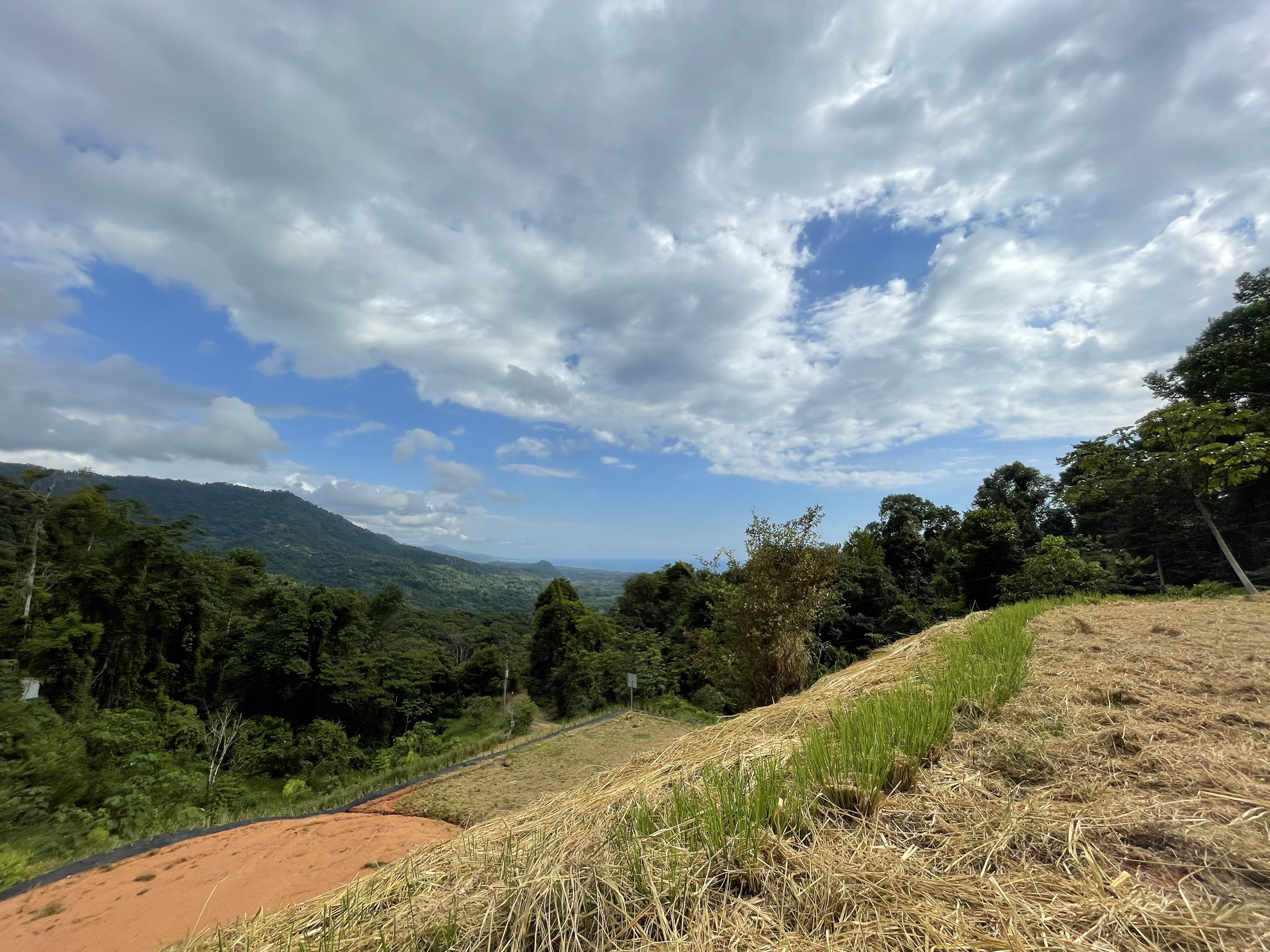 0 bed Land For Sale in Dominical, Puntarenas - thumb 20