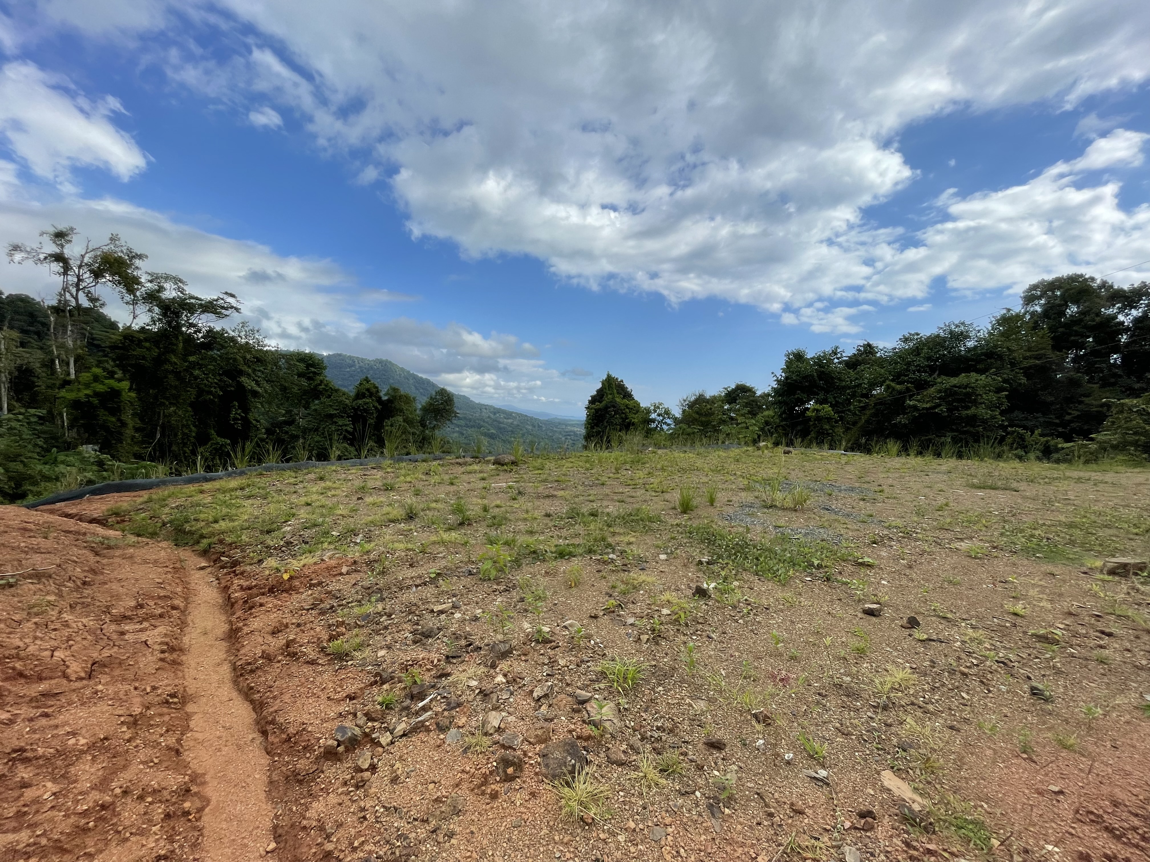 0 bed Land For Sale in Dominical, Puntarenas - thumb 23