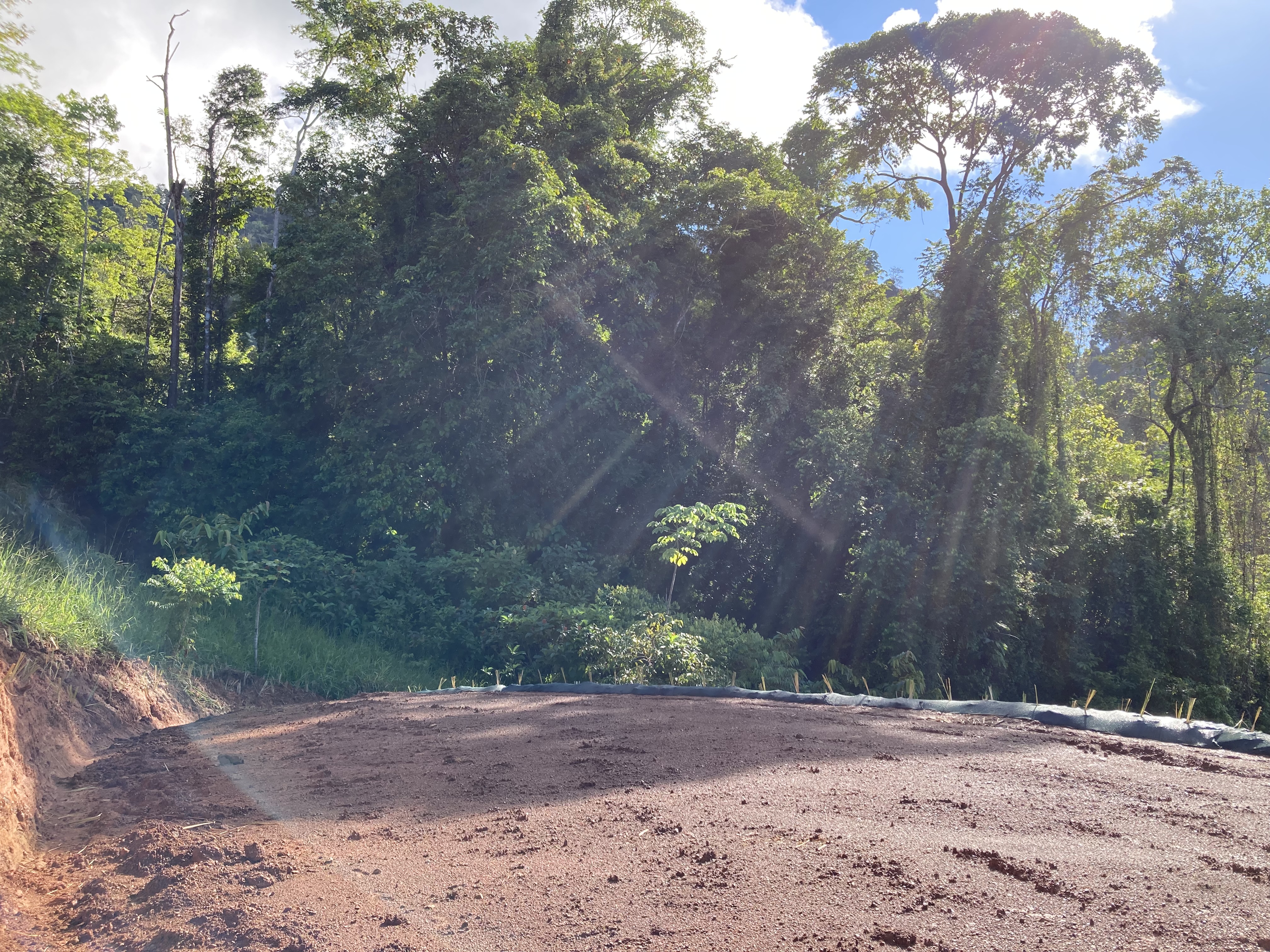 0 bed Land For Sale in Dominical, Puntarenas - thumb 16