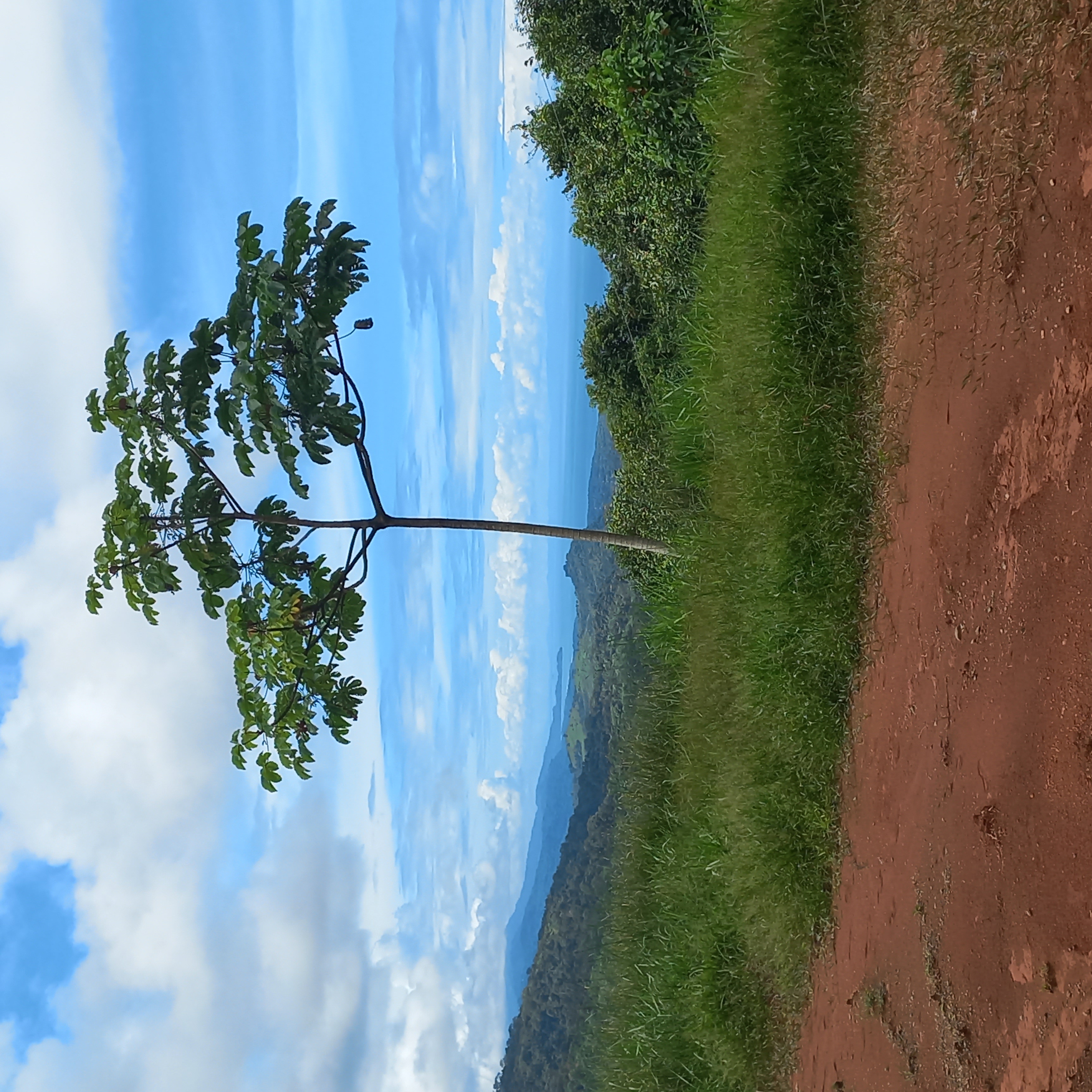 0 bed Land For Sale in Dominical, Puntarenas - thumb 2