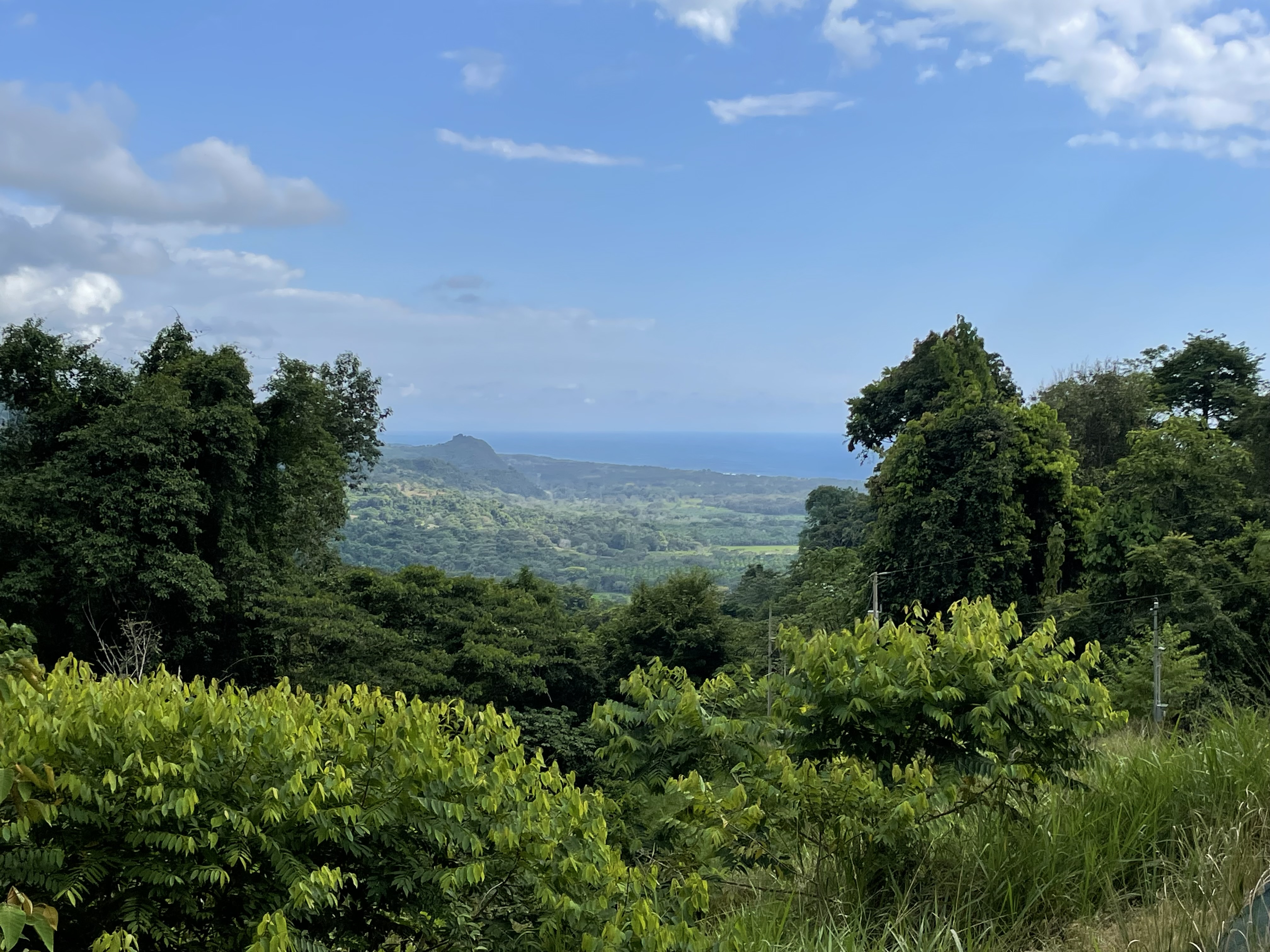 0 bed Land For Sale in Dominical, Puntarenas - thumb 26
