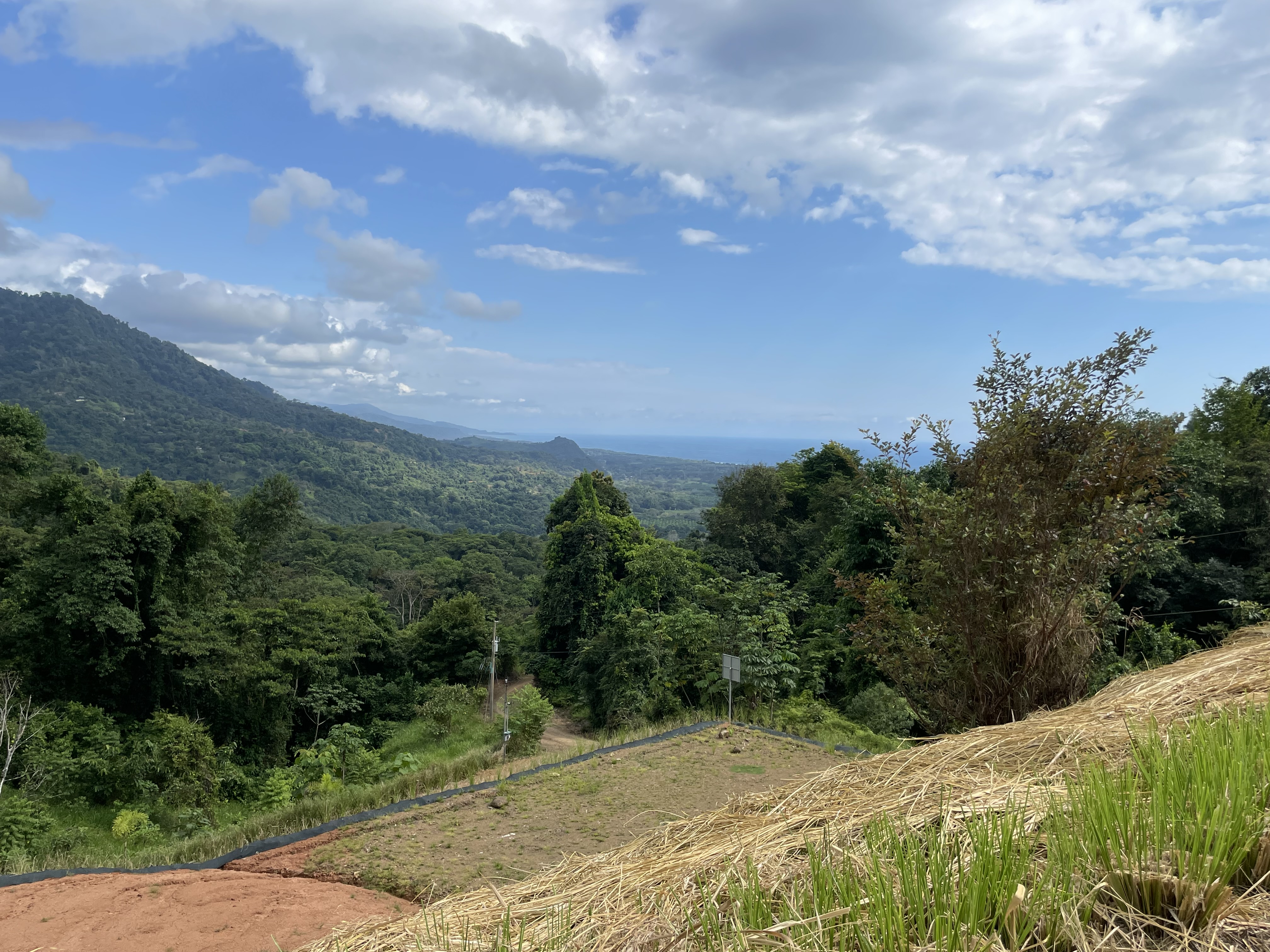 0 bed Land For Sale in Dominical, Puntarenas - thumb 27