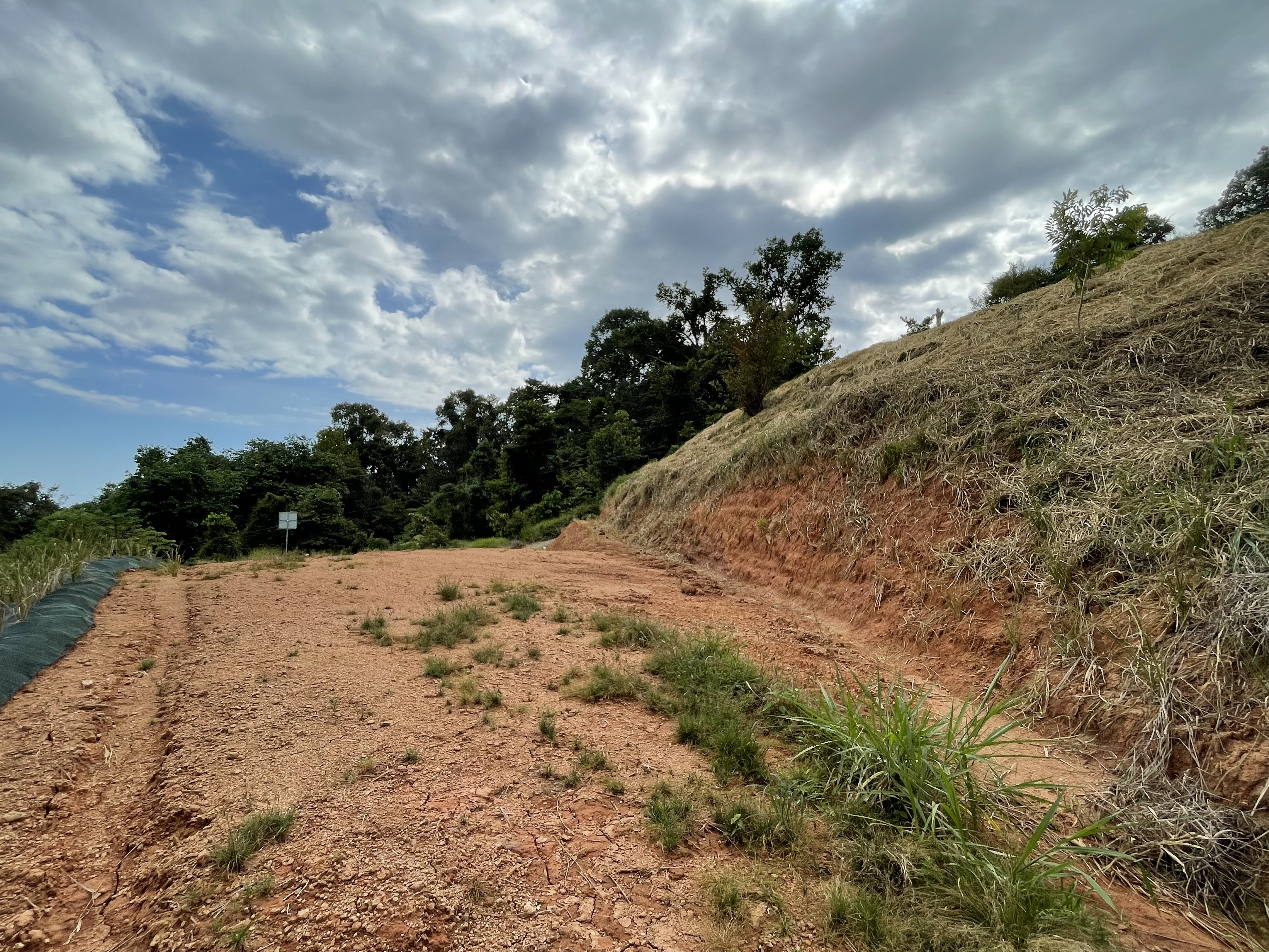 0 bed Land For Sale in Dominical, Puntarenas - thumb 25