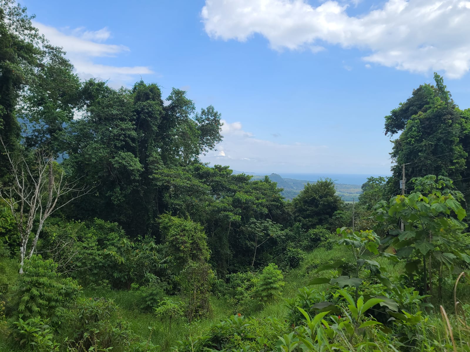 0 bed Land For Sale in Dominical, Puntarenas - thumb 6