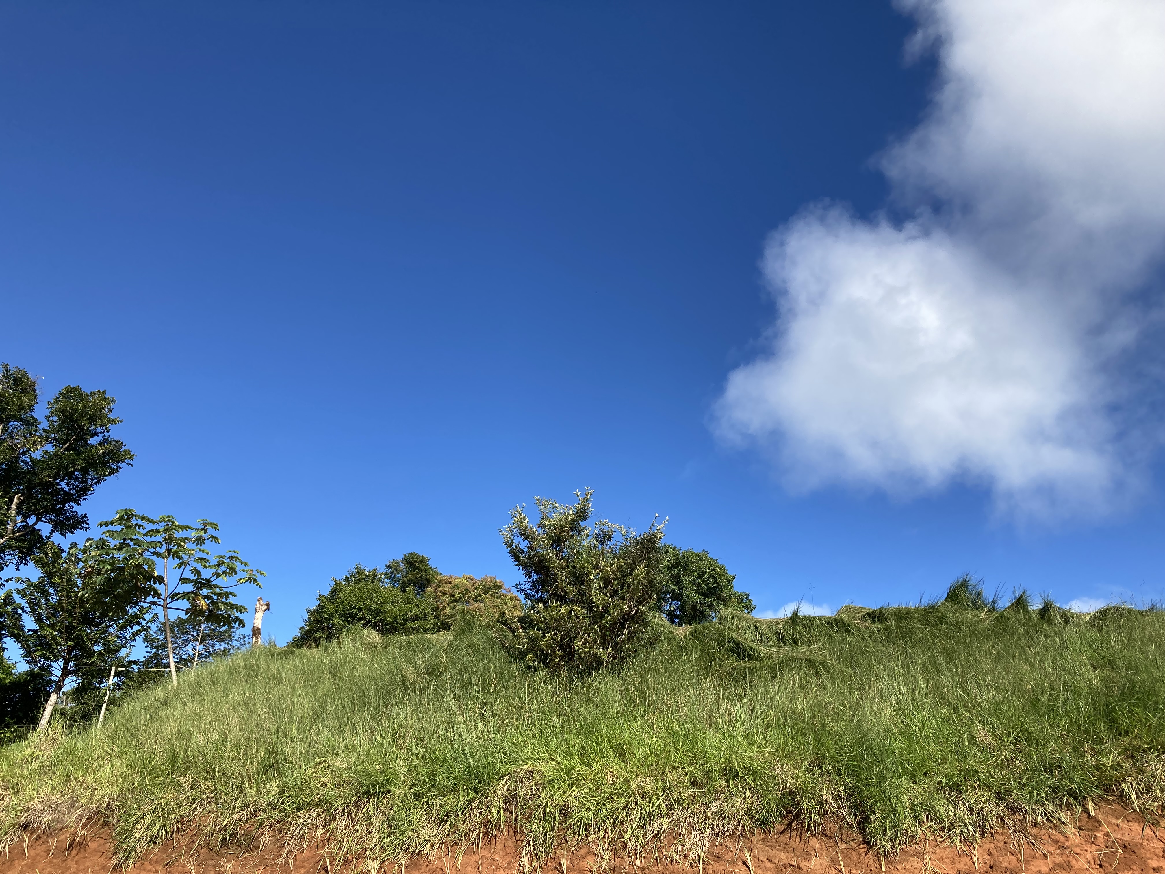 0 bed Land For Sale in Dominical, Puntarenas - thumb 12