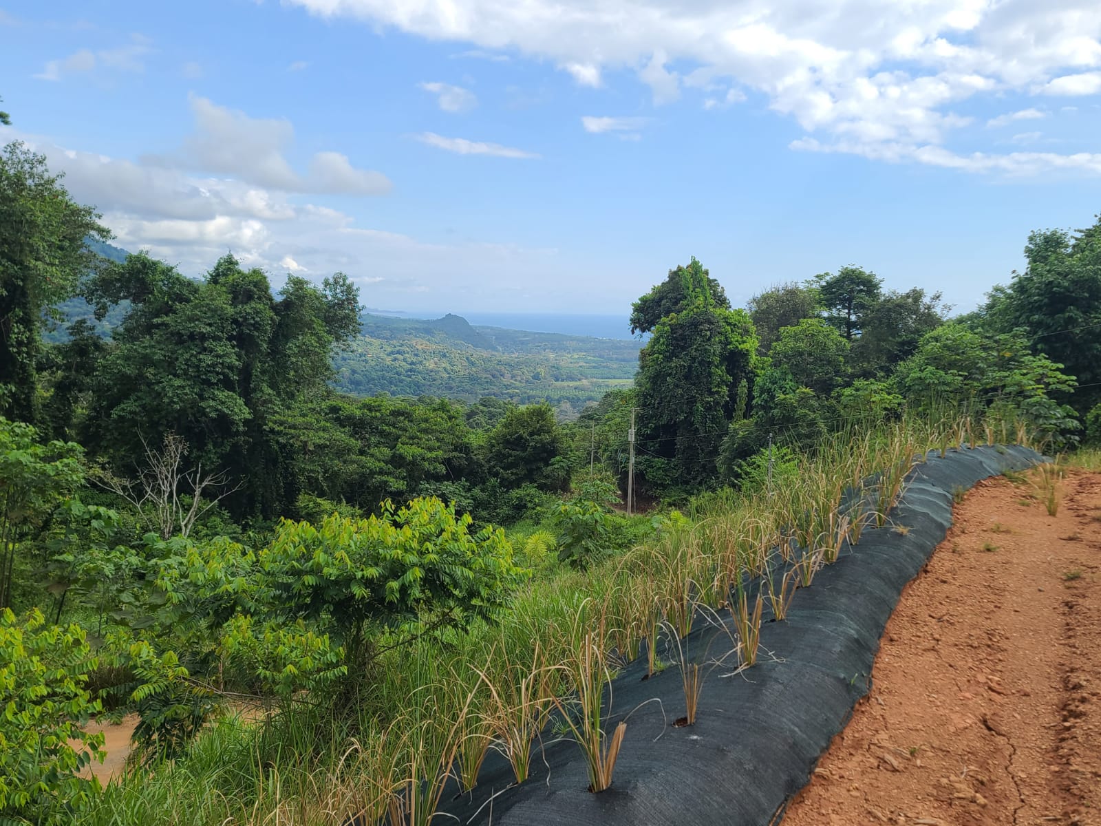 0 bed Land For Sale in Dominical, Puntarenas - thumb 8